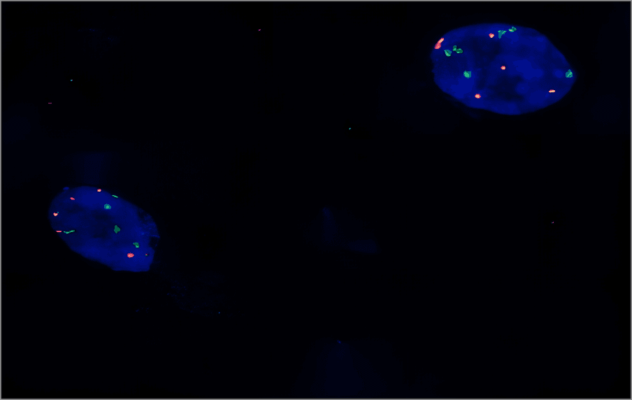 FP-009-b-CEP3 CEP7多体